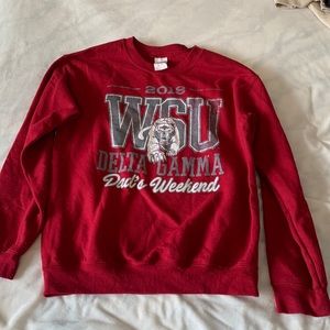 WSU delta gamma sweatshirt